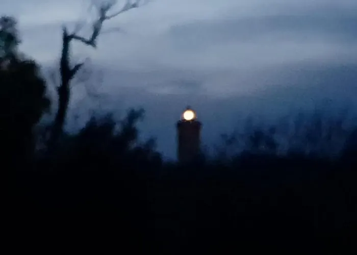 Una Finestra Sul Glicine